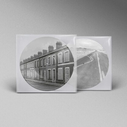 Manic Street Preachers - Critical Thinking [LTD LP] (Picture Disc)