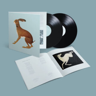 Vashti Bunyan - Lookaftering (Expanded Edition) [2xLP]