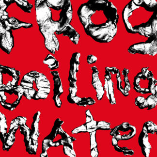 DIIV - Frog In Boiling Water [LP]