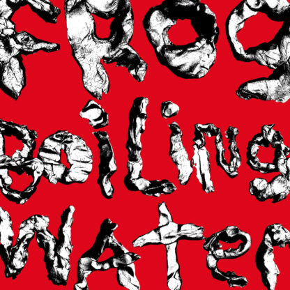 DIIV - Frog In Boiling Water [LP]