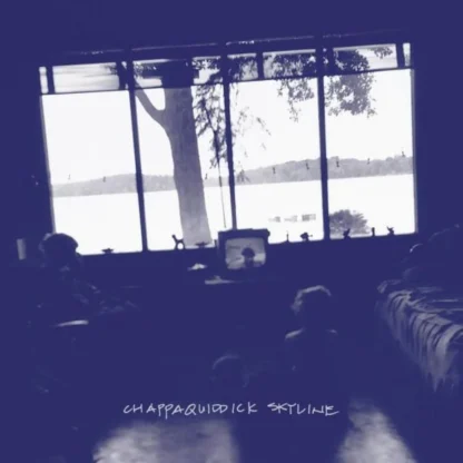 Chappaquiddick Skyline - Chappaquiddick Skyline [LTD LP] (Clear Vinyl)
