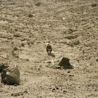Ben Howard - Noonday Dream [2xLP]