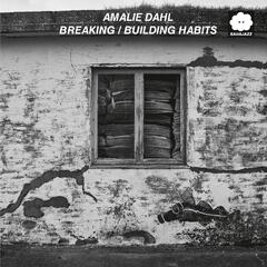 Amalie Dahl - Breaking/Building Habits [LP]
