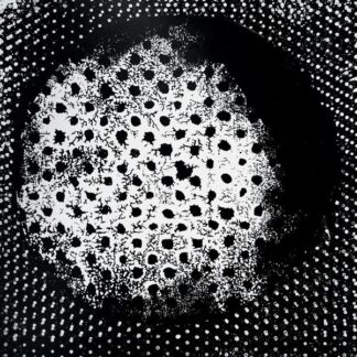 Biosphere - Patashnik [2xLP]