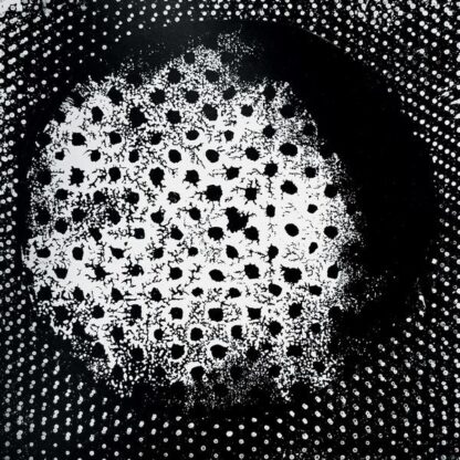 Biosphere - Patashnik [2xLP]