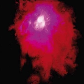 Porcupine Tree - Up The Downstair [2xLP]