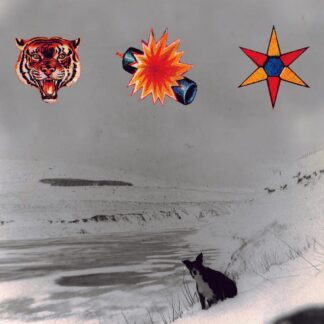 The Beta Band - 3 EP's [2xLP]