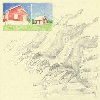 quickly, quickly - I Heard That Noise [LTD LP] (Mint Green Vinyl)
