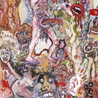 The Bug Club - Very Human Features [LP]
