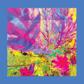 The Reds, Pinks And Purples - The Past is a Garden I Never Fed [LTD LP] (Pink Vinyl)