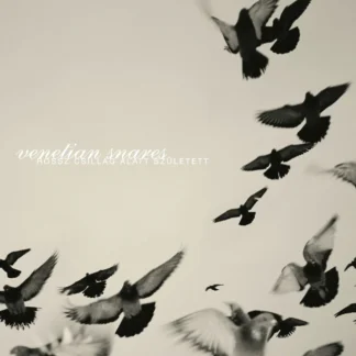 Venetian Snares - Rossz Csillag Allat Szuletett [2xLP]