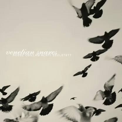 Venetian Snares - Rossz Csillag Allat Szuletett [2xLP]