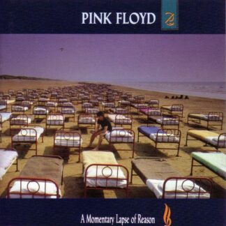 Pink Floyd - A Momentary Lapse Of Reason [LP]