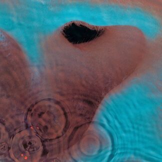 Pink Floyd - Meddle [LP]
