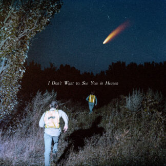 The Callous Daoboys - I Don't Want To See You In Heaven [LTD 2xLP] (Seattle Vinyl)