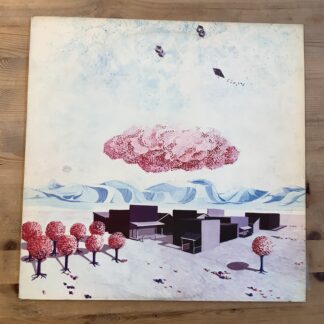 Hole In The Wall - Hole In The Wall [LP] (2. hand)