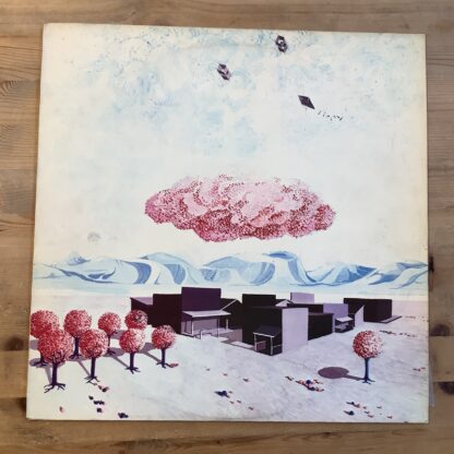 Hole In The Wall - Hole In The Wall [LP] (2. hand)
