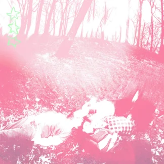 Shower Curtain - Words From A Wishing Well [LTD LP] (Benadryl Pink Vinyl)